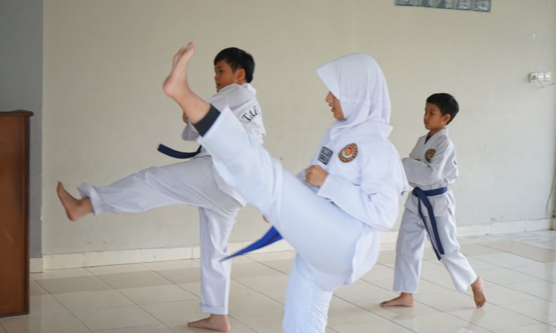 Taekwondo